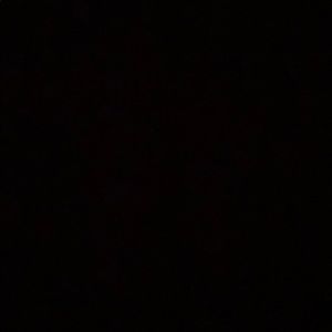 Meet your Posher, Jaylee